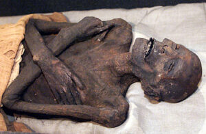 ramses mummy