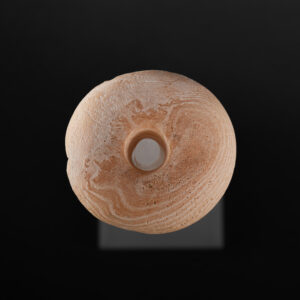 Banded Alabaster Egyptian Mace Head - Image 3