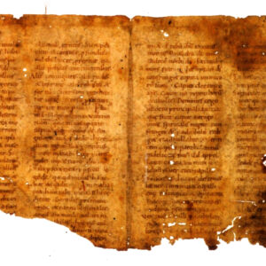 An Unrecorded Carolingian Commentary on Psalms