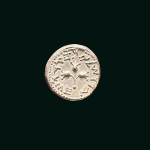 The Jewish silver full shekel